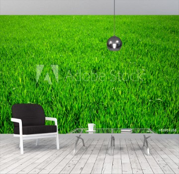 Picture of grass texture